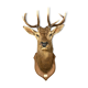 Tete de cerf naturalisé