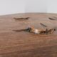 Farm stool 1960