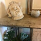 Plaster head