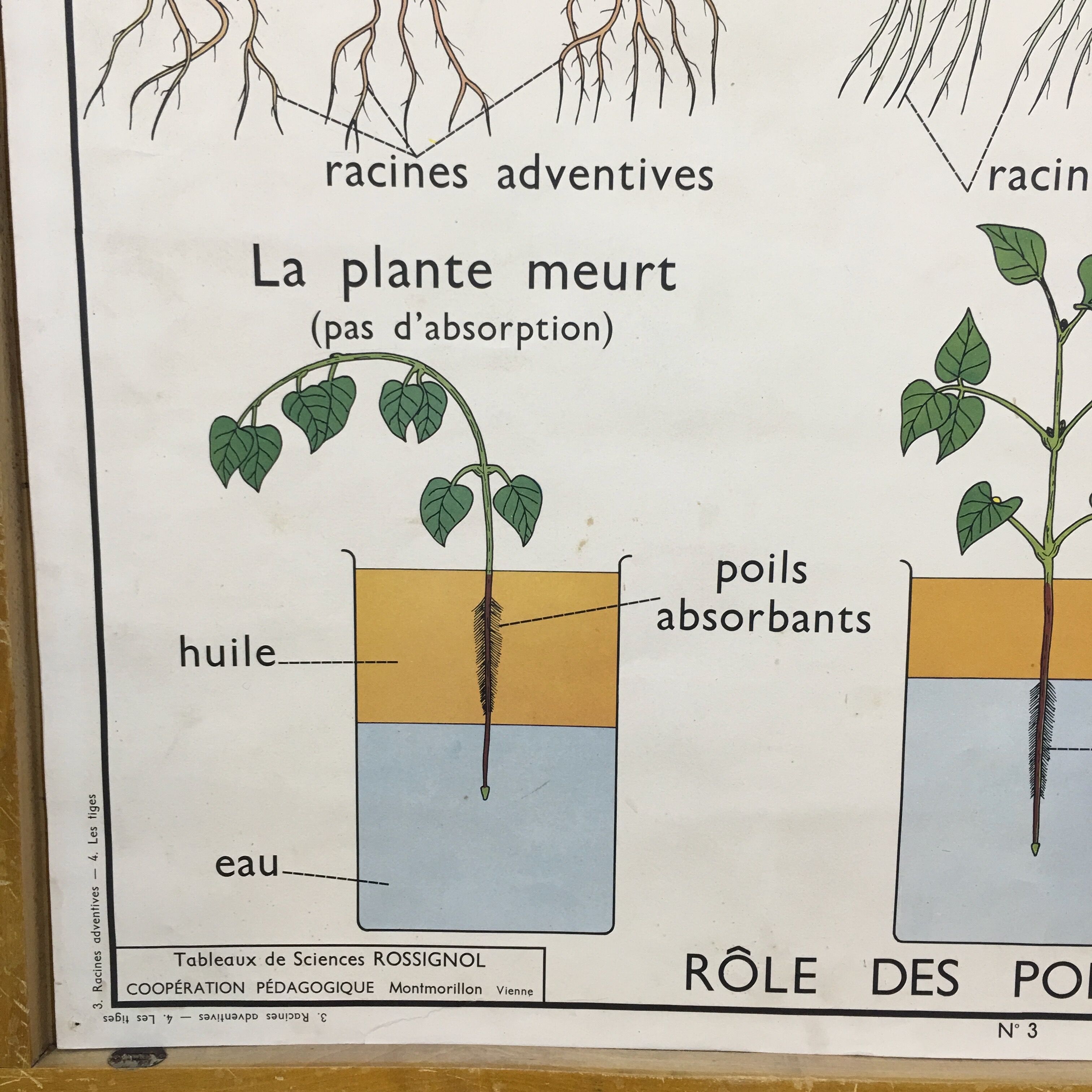 School poster by Rossignol double side