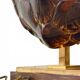 Lampe Tortue Maison Jansen - Véritable Écaille & Laiton (Circa 1970)