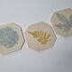 Three enamelled ceramic under glass, footprints of plants from Canada