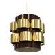Suspension Werner Schou,  Coronell Elektro