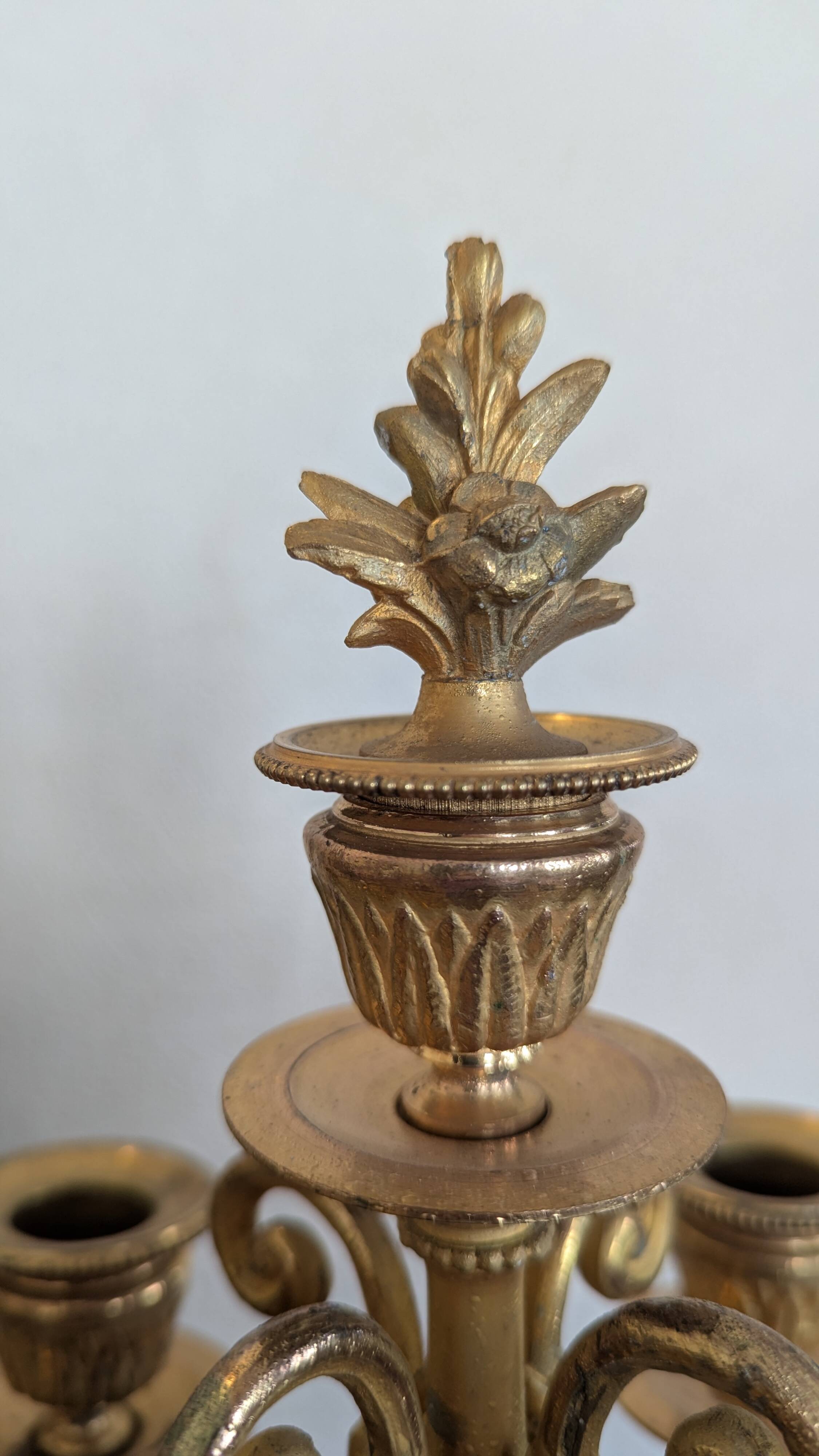 Pair of candlesticks