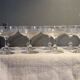 8 antique Baccarat crystal champagne coupes with engraved decoration.