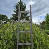Wooden ladder