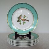 6 assiettes plates oiseaux