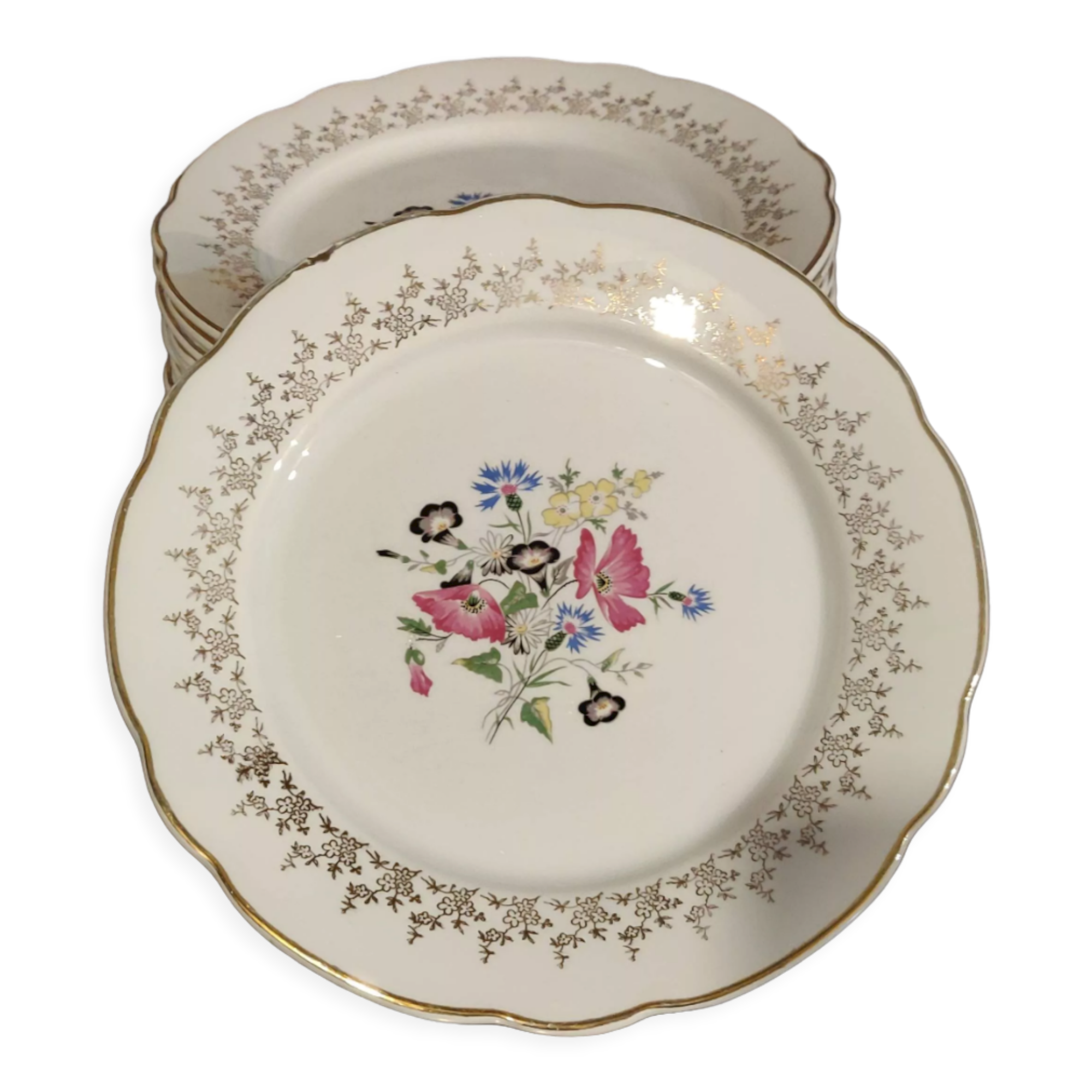 12 assiettes plates Digoin et Sarguemines Pampelune