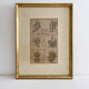 Lithograph botanical plate enhanced with watercolour.