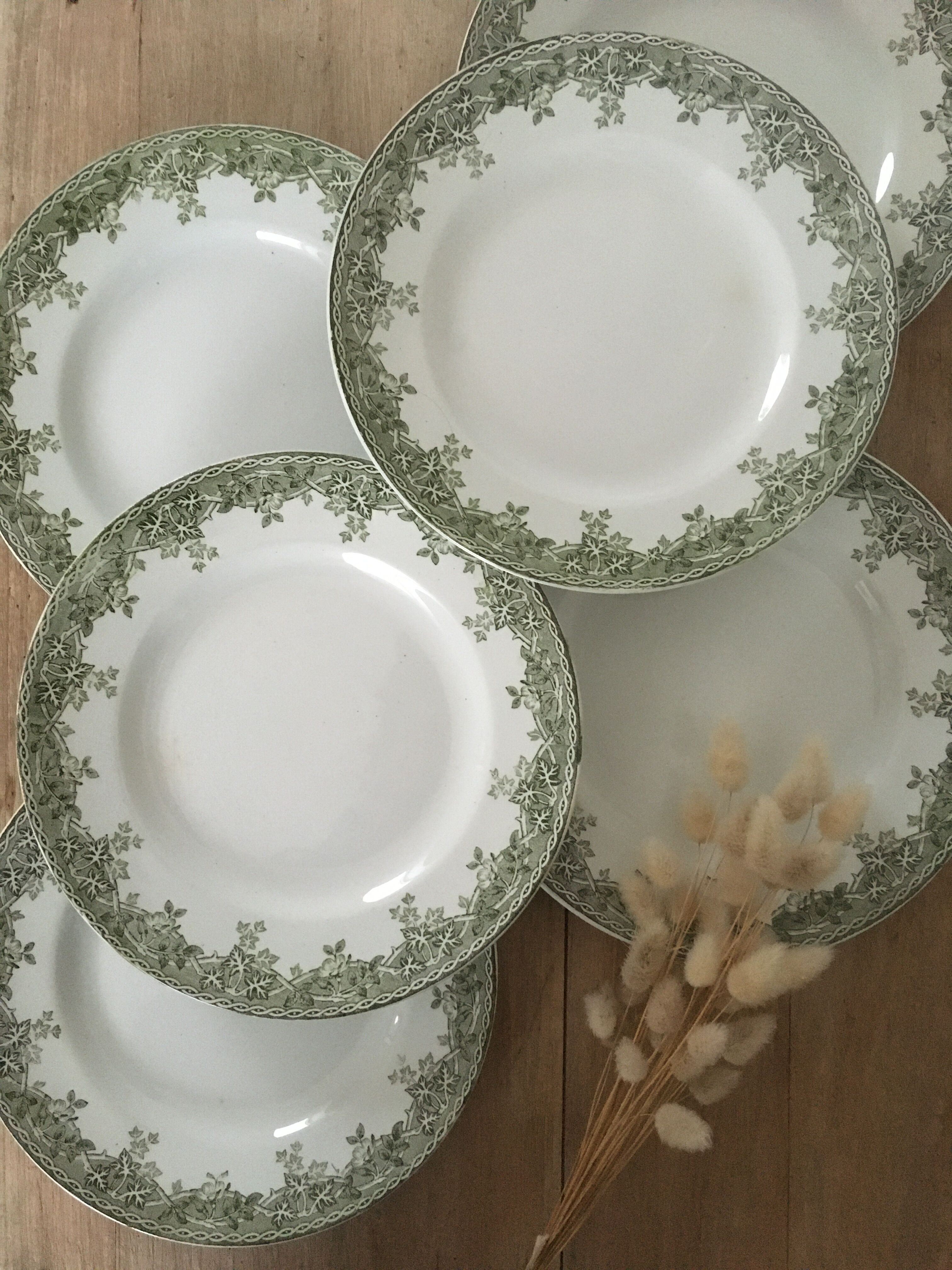 Flat plates iron St Amand Estival