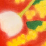 Still life "Mimosa" - Original drawing