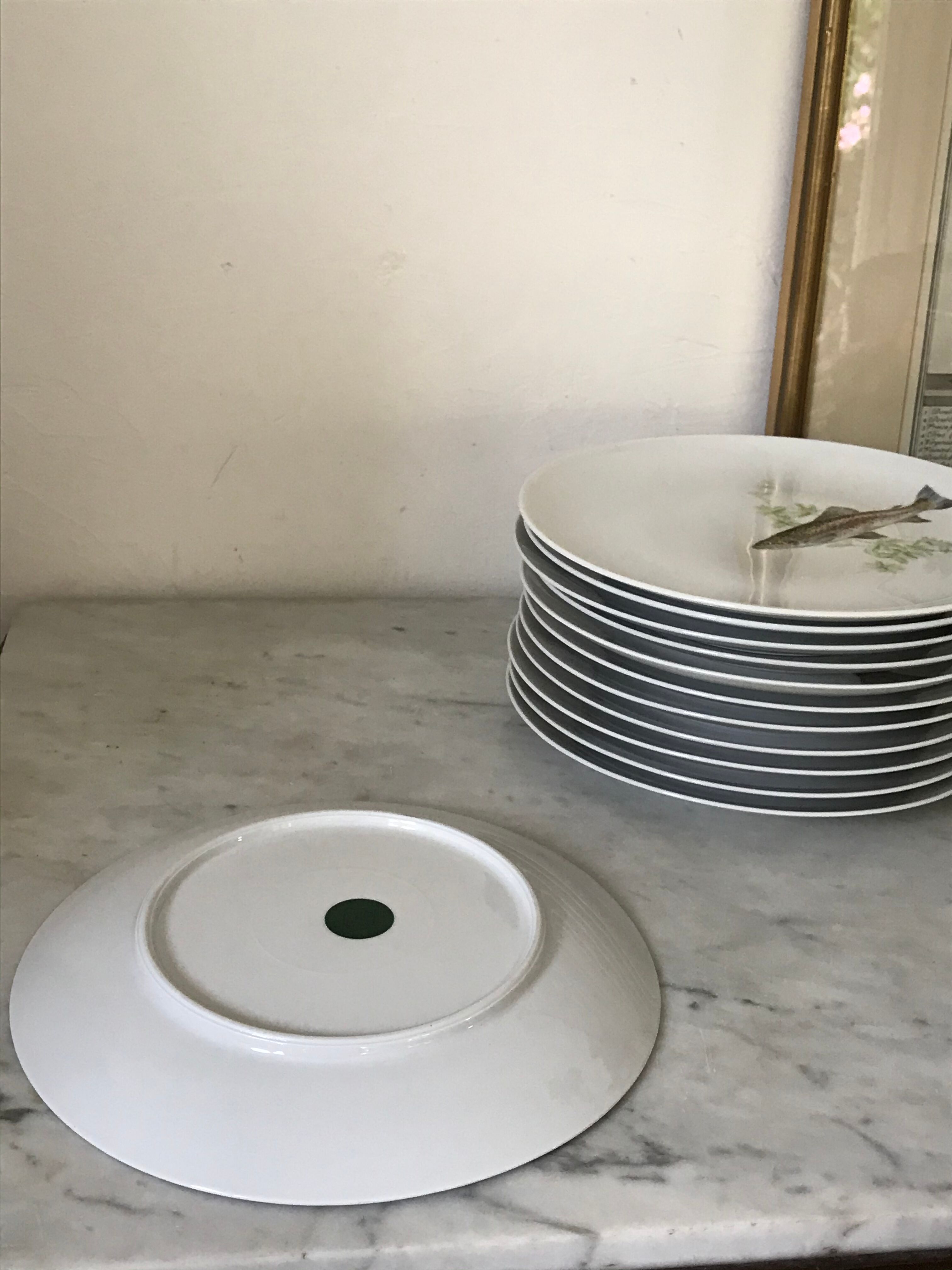 12 assiettes en porcelaine