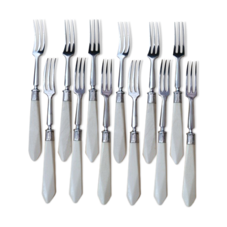 Dessert service: 12 forks and 12 Apollonox knives Stainless steel and bovine horn