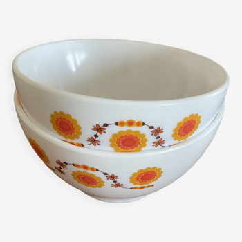 Arcopal bowl duo