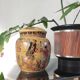 Ancien pot à gingembre style Satsuma • Décor Geishas & Dorures