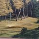 Huile sur toile