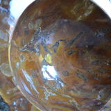 Empty pocket or ashtray in fossilized wood