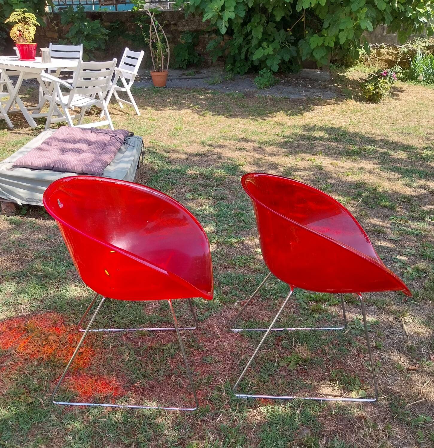 Gliss 921 armchairs for Pedrali