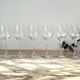 6 crystal red wine glasses Mikasa model Stephanie