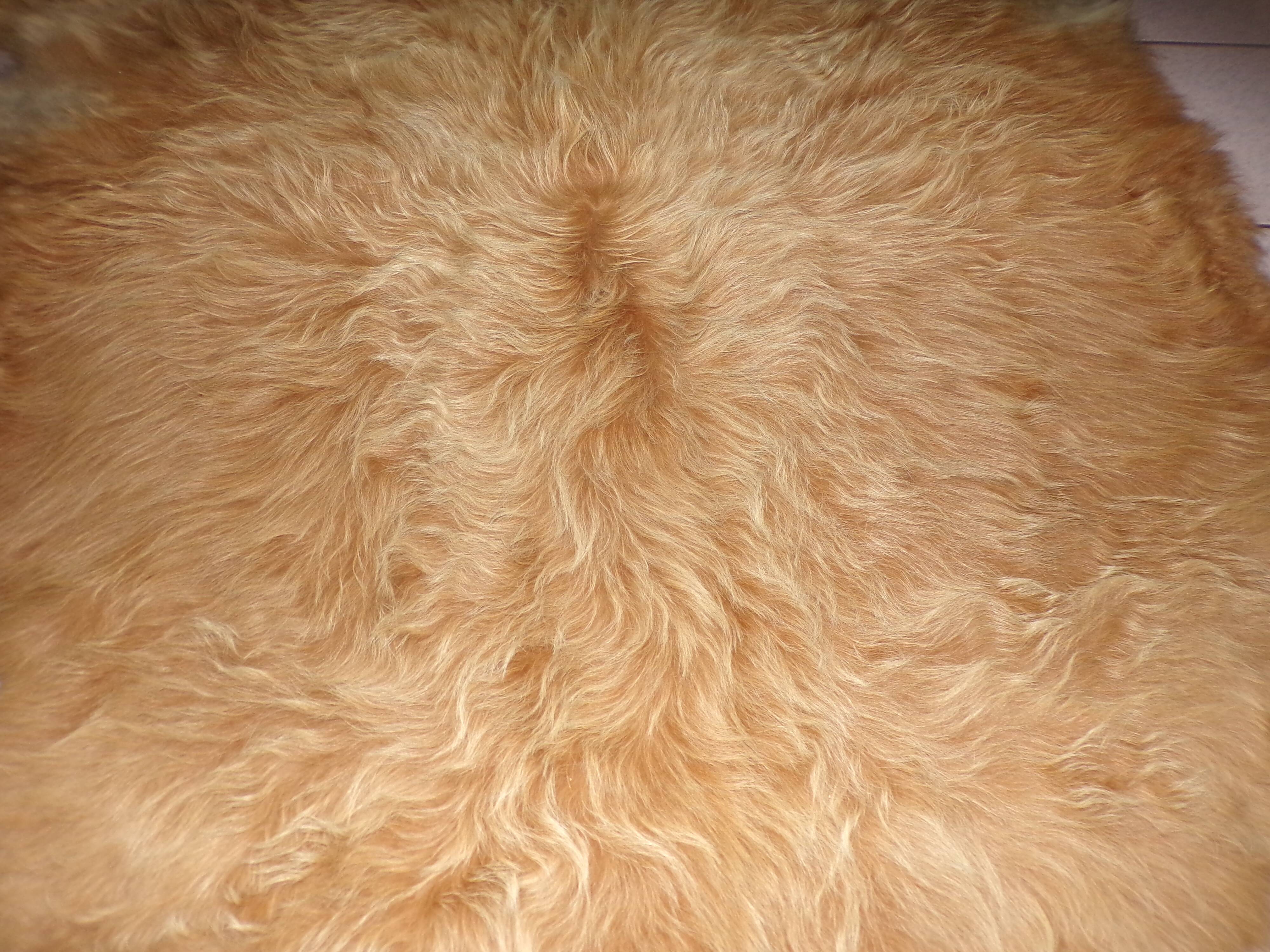 Carpet cow skin long red hair, 180x150cm