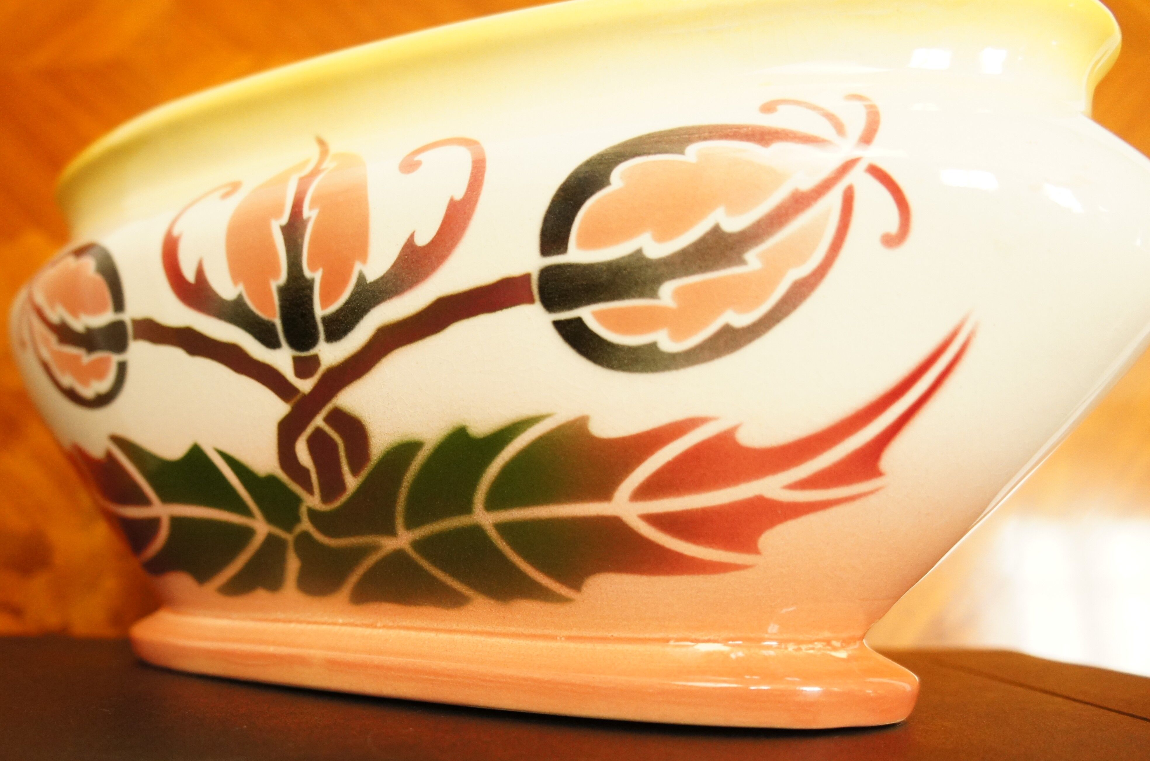 Gardener Gustave de Bruyn