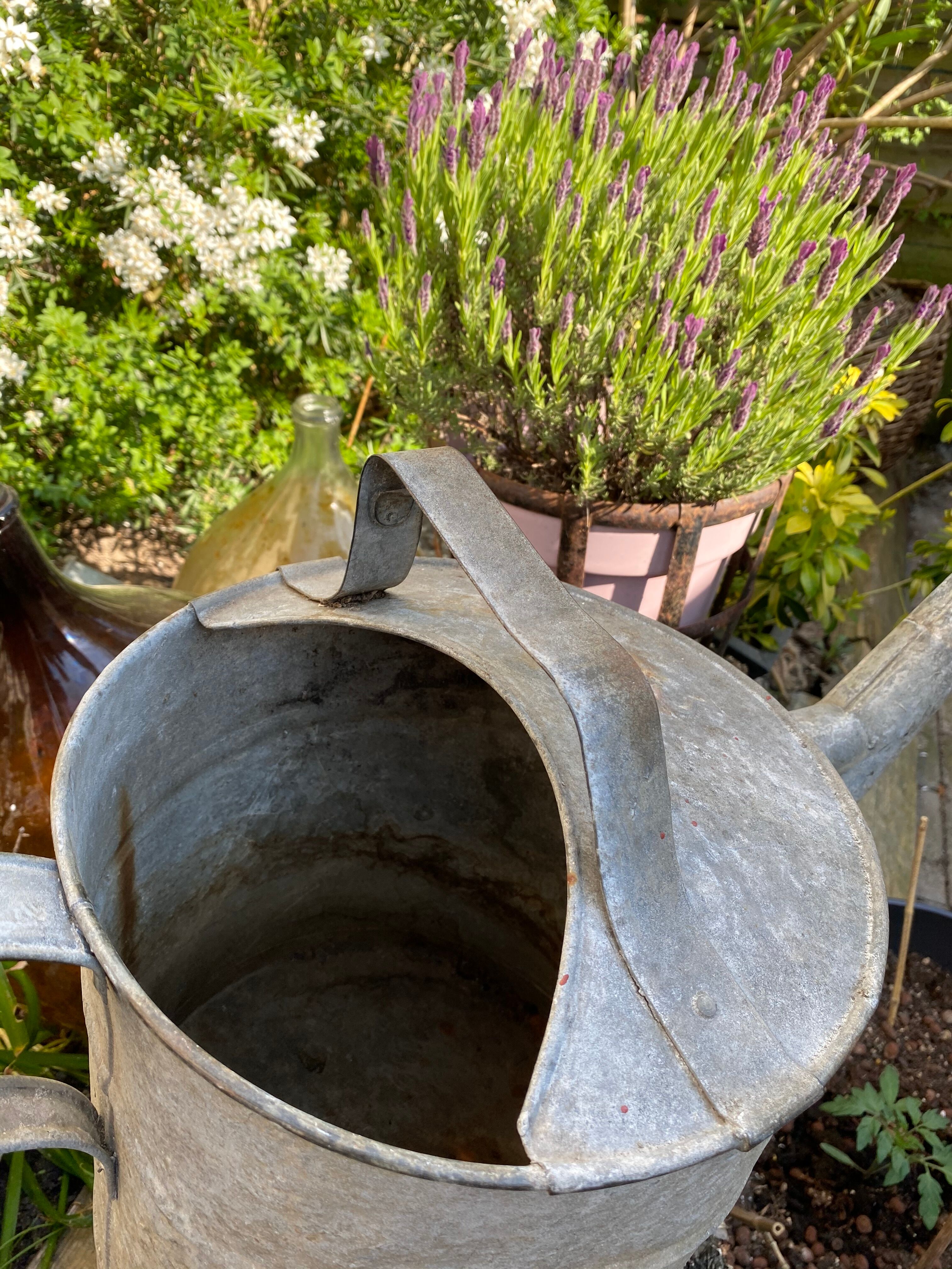 Old zinc watering can