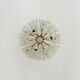 Dandelion Wall or Ceiling Lamp by Emil Stejnar for Rupert Nikoll