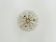 Dandelion Wall or Ceiling Lamp by Emil Stejnar for Rupert Nikoll