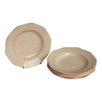 6 old hollow plates roses in iron earth