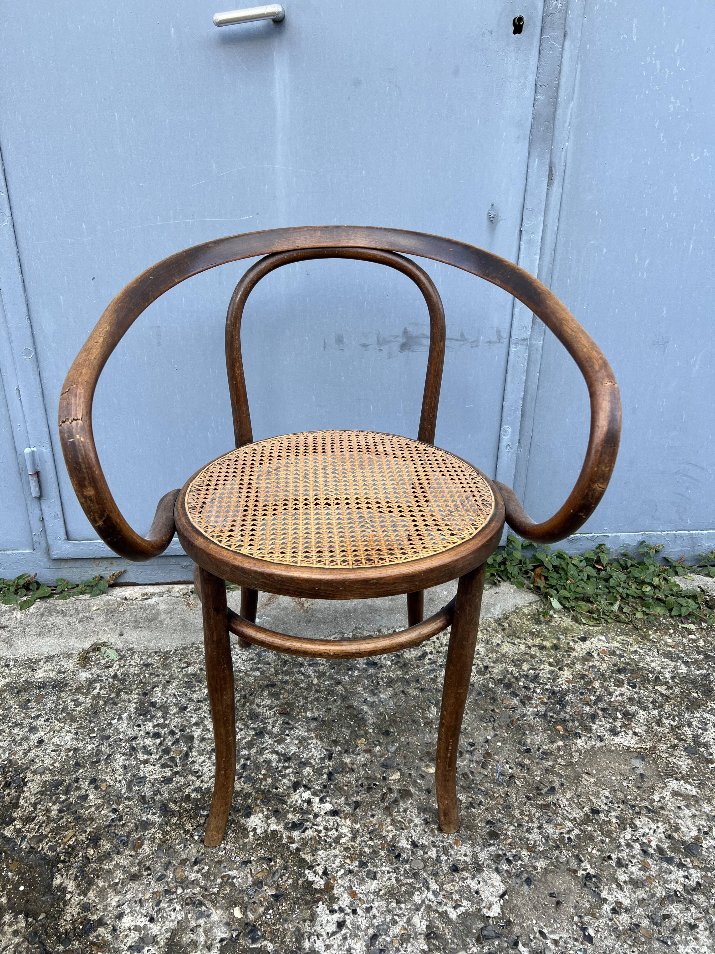 Thonet 209 chair by Mundus