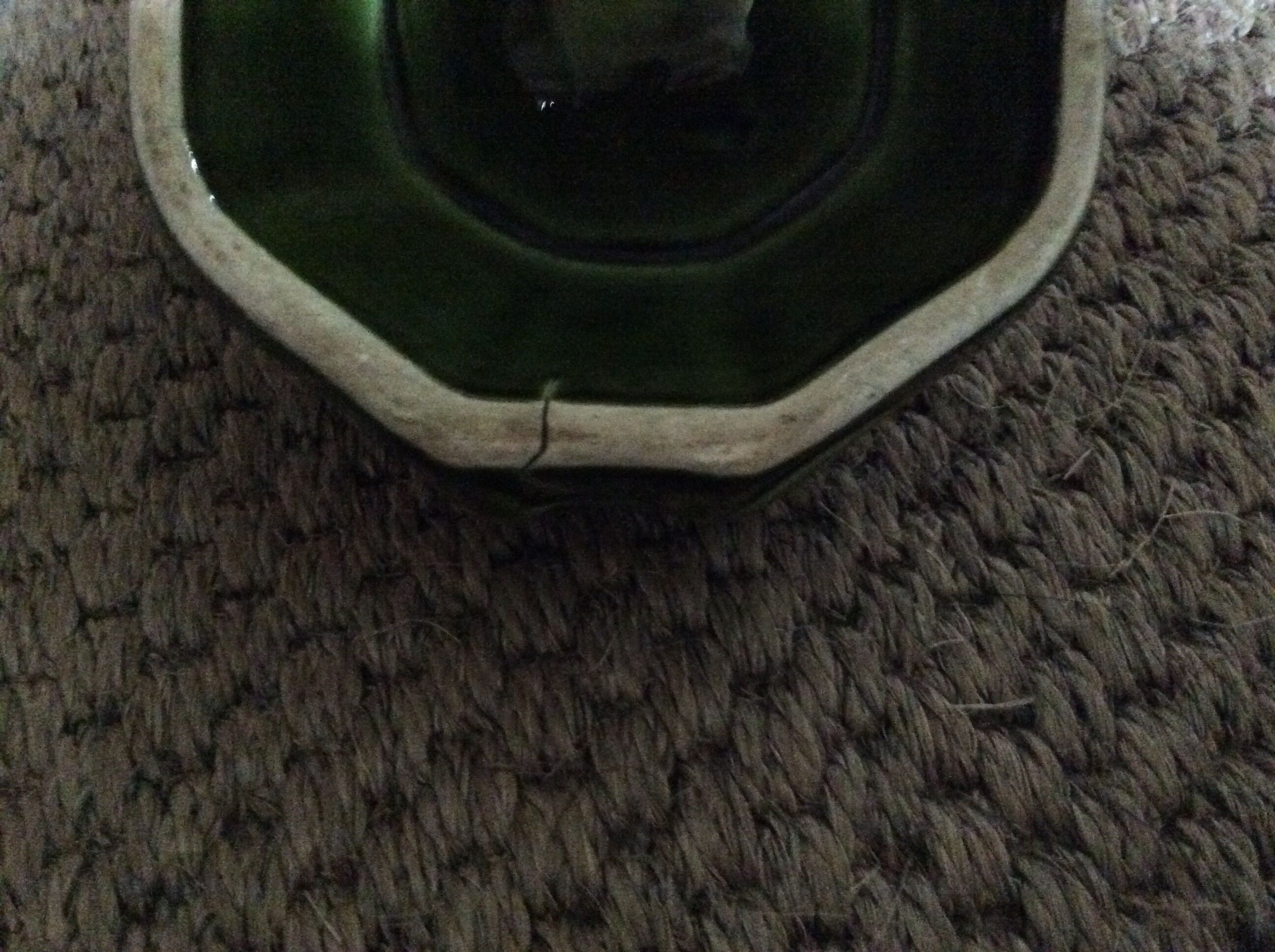 Frog ashtray