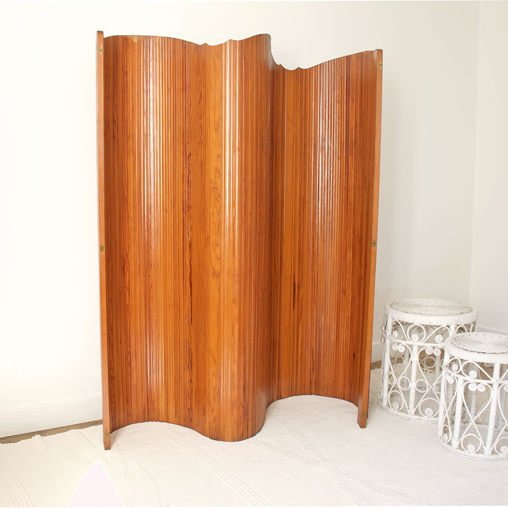 SNSA commercial screen