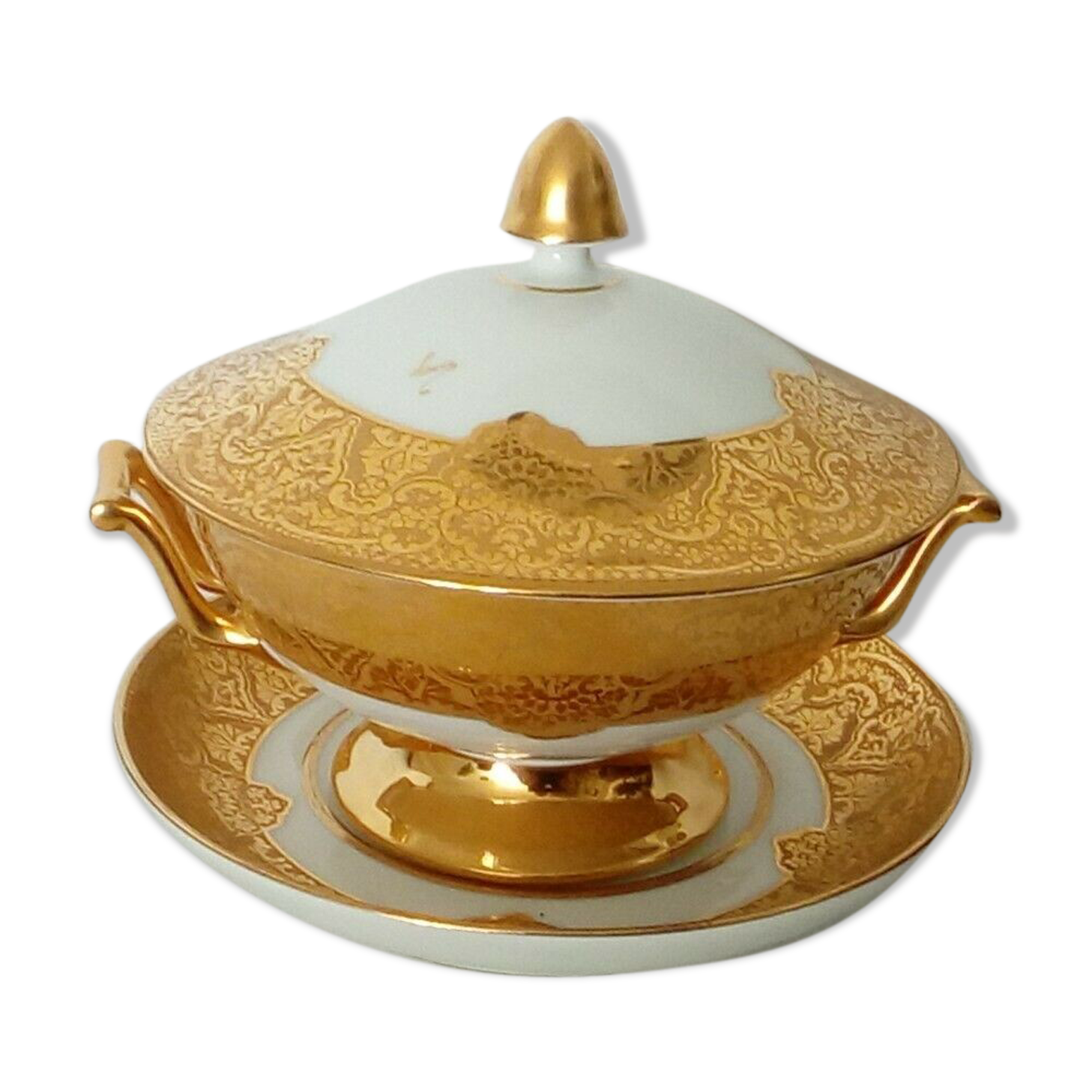 Limoges porcelain broth on his plate