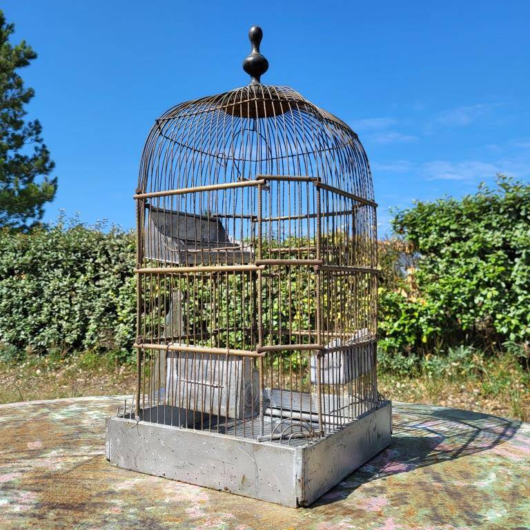1900 Bird Cage Feeder and Drinker
