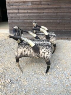 Set of 2 ethnic buffalo horn armchairs