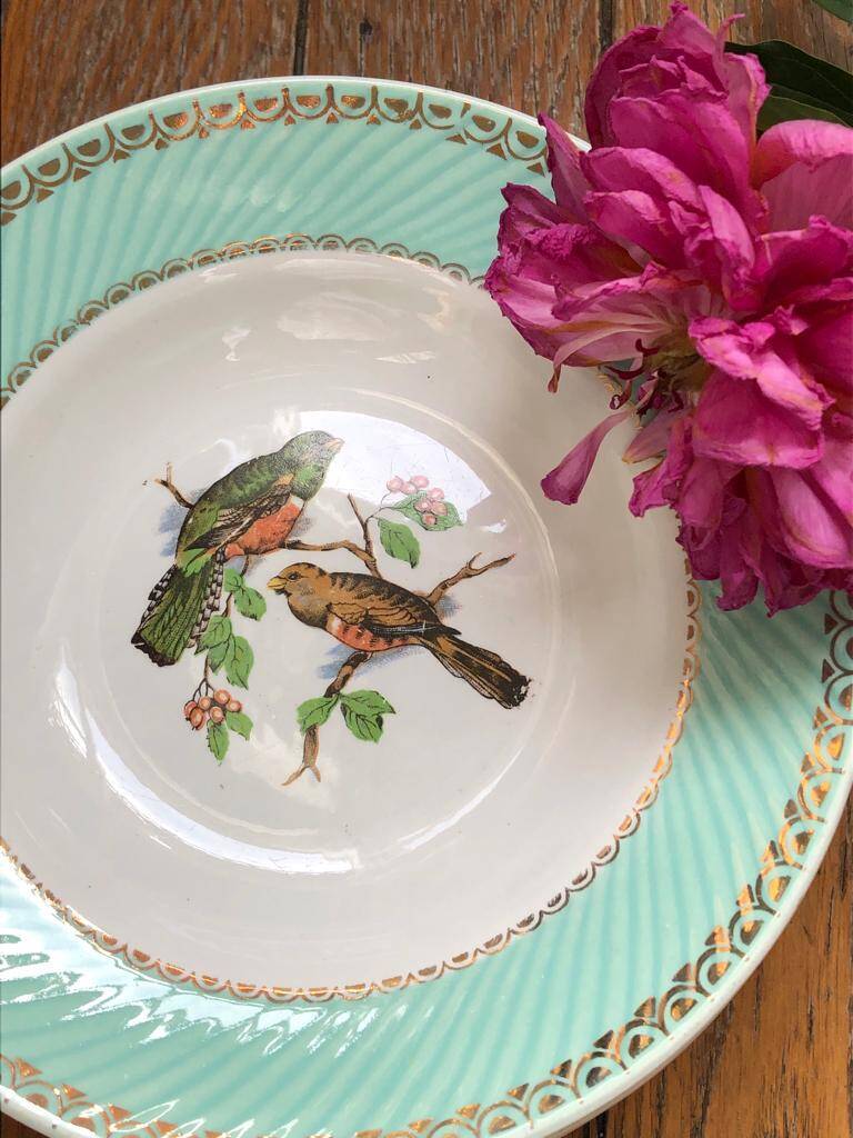 Set of 8 flat plates from the 50s-60s, turquoise rim and bird pattern.