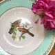 Set of 8 flat plates from the 50s-60s, turquoise rim and bird pattern.
