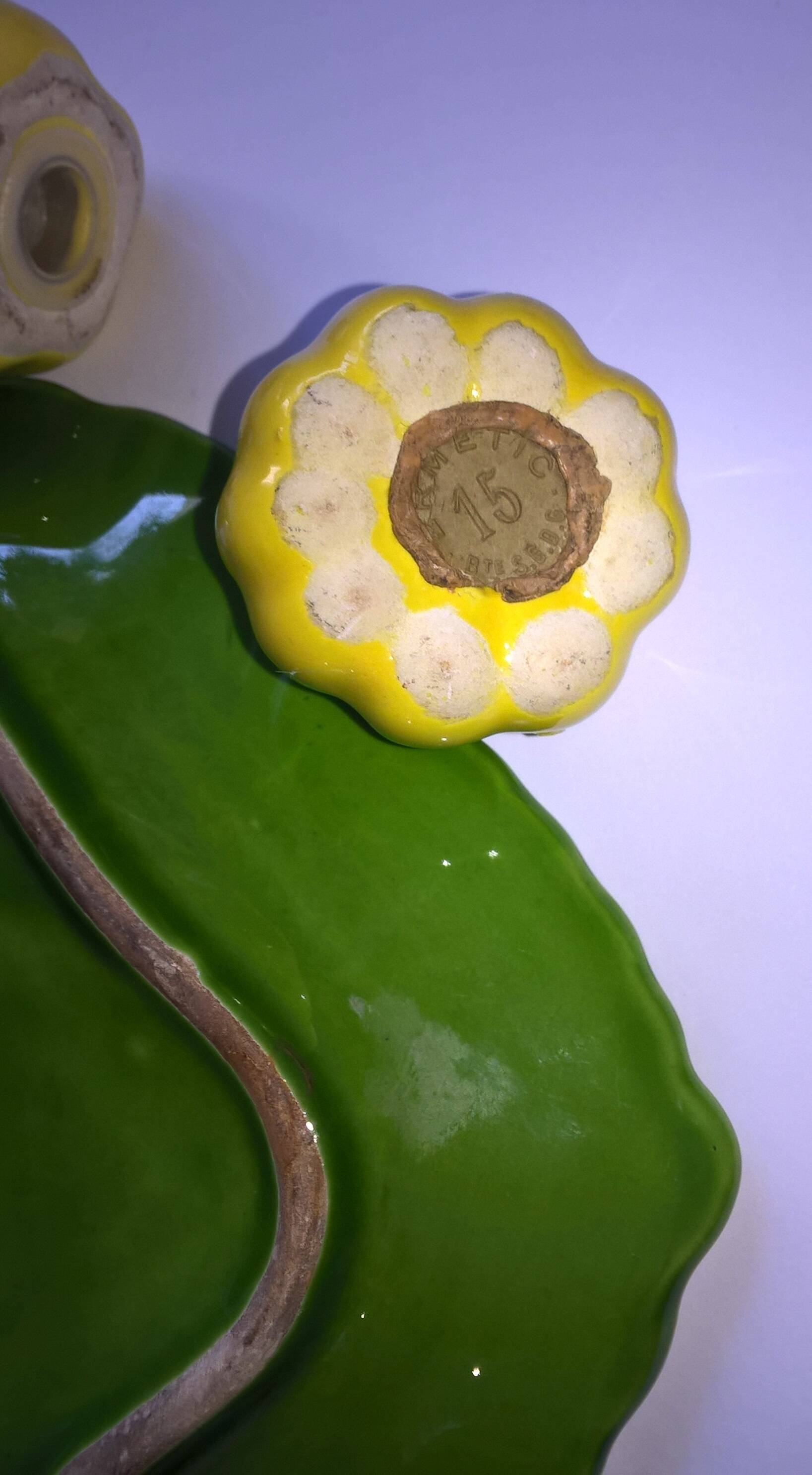 Vintage ceramic service autumn salt pepper spices cabbage squash 1950s 60s