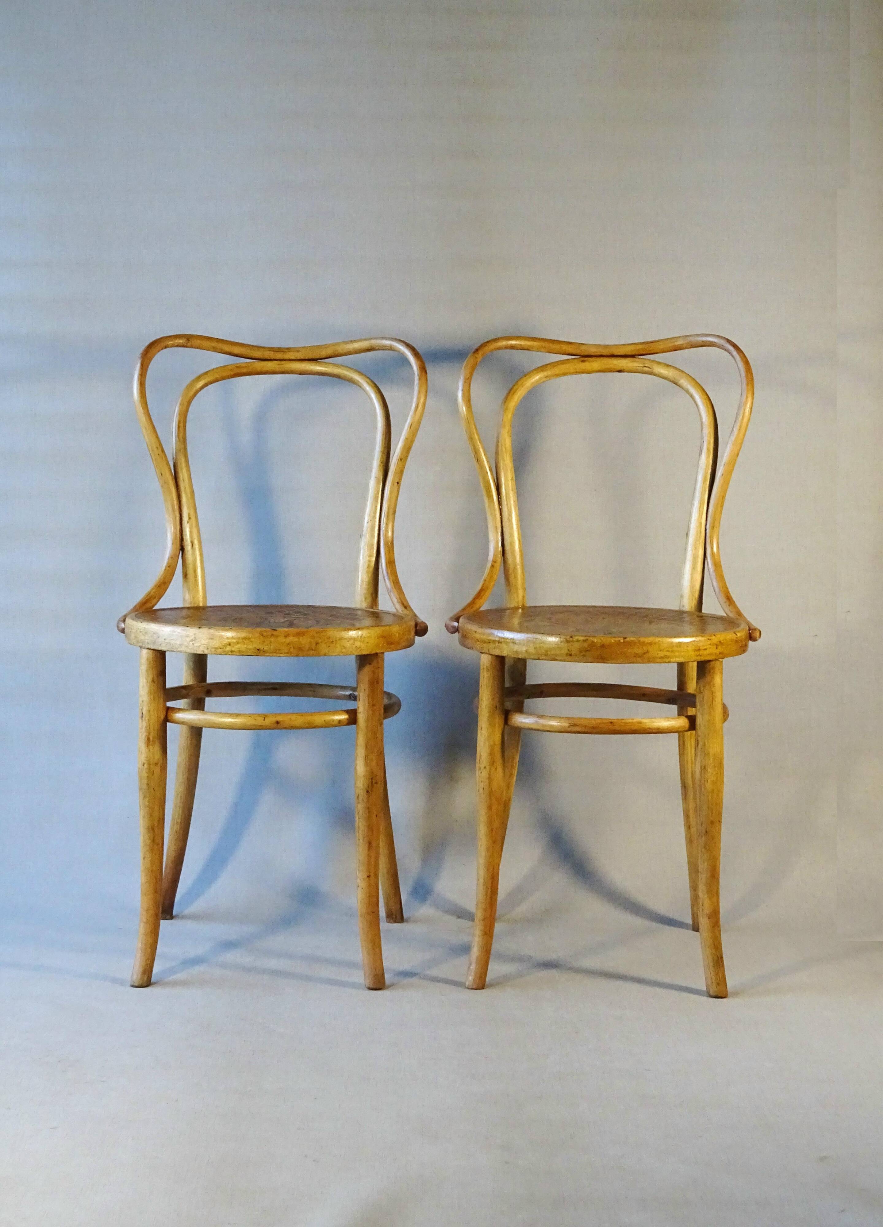 Two Kohn bistro chairs no. 55, circa 1910, not Thonet.