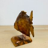 Piranha naturalized on base cabinet of curiosity