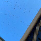 Wall-mounted gilded wrought iron coat rack with mirror