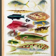 Poster about exotic fish, based on an old lithograph from 18