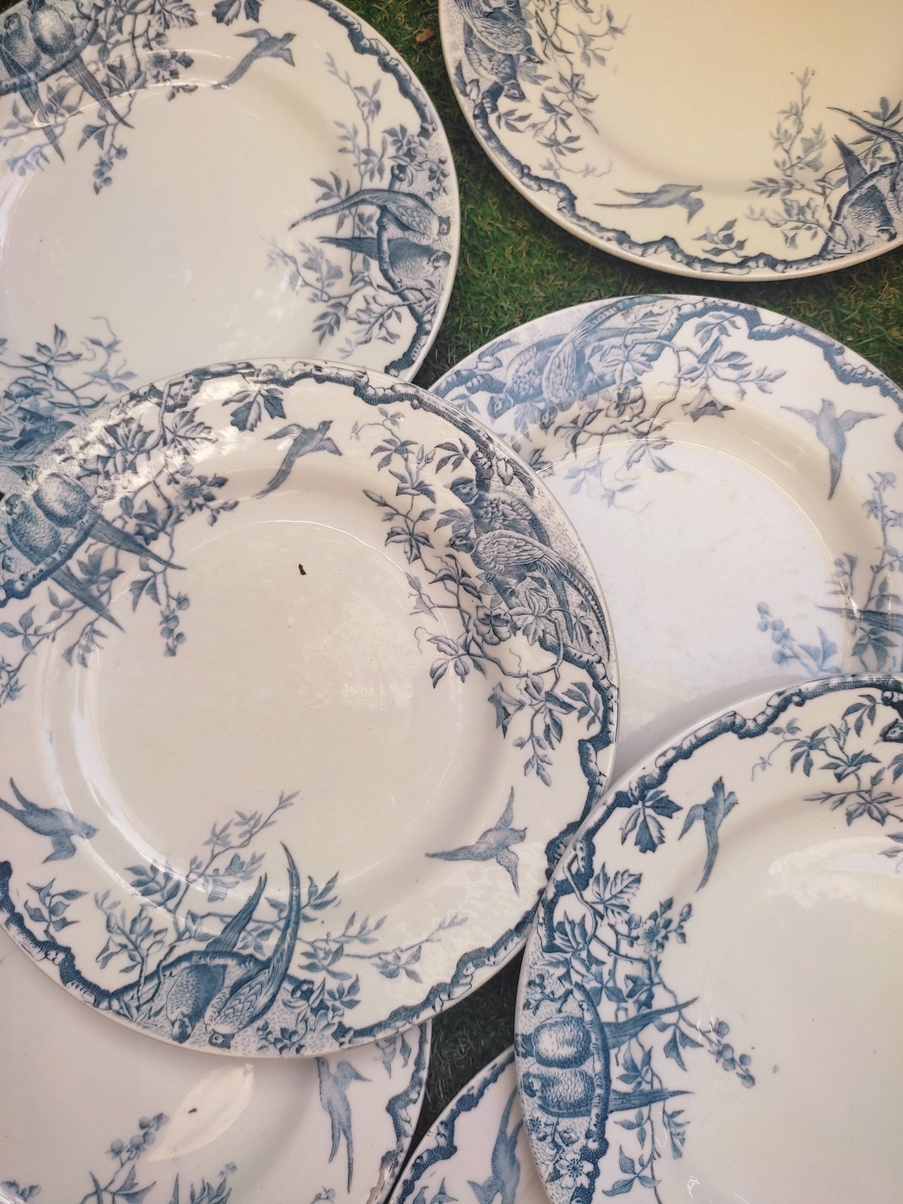 7 plates in earthenware with bird motifs by Lunéville