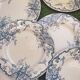 7 plates in earthenware with bird motifs by Lunéville