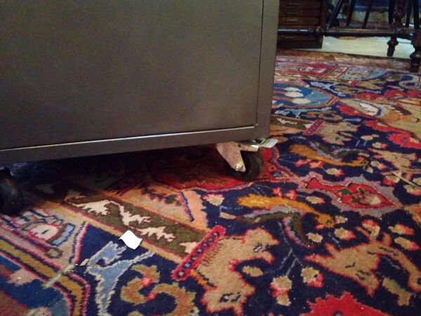 Comptoir de magasin