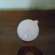 Pendant light