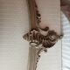 Old wood decoration, pediment, shell