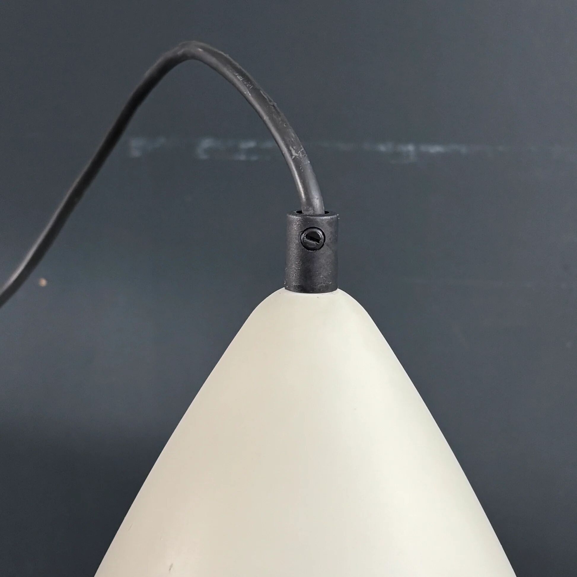 Pair of lacquered metal pendant lights with rose.