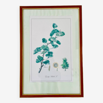 Botanical poster framing