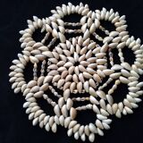 Vintage seashell trivet